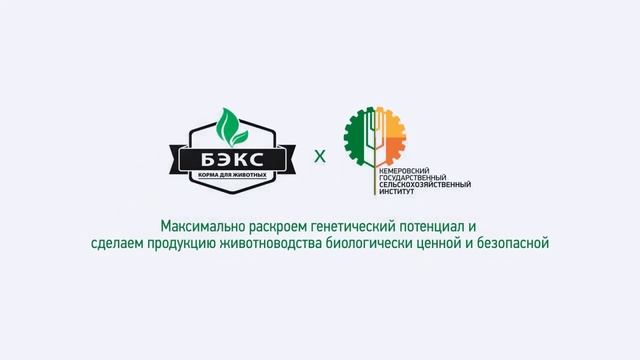 О деятельности компании БЭКС Био экструдированные кормовые смеси Корма для всех видов животных 1 смотреть онлайн