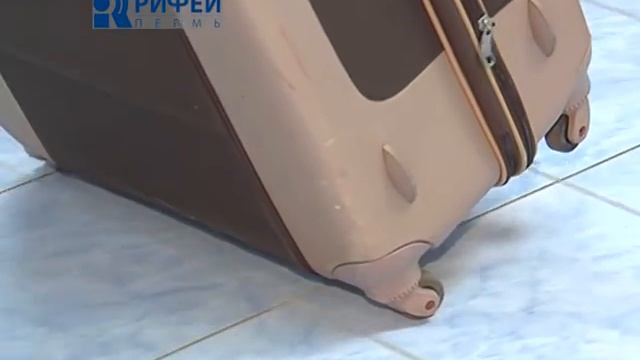 Как выбрать чемодан смотреть онлайн