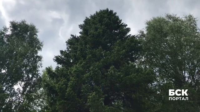 Река Усьва. Пермский край. Вы обязательно должны здесь побывать. смотреть онлайн