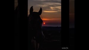 🌸Красивые нашид/Лиякун ☪️/мощный нашид для успокоения души 🌸