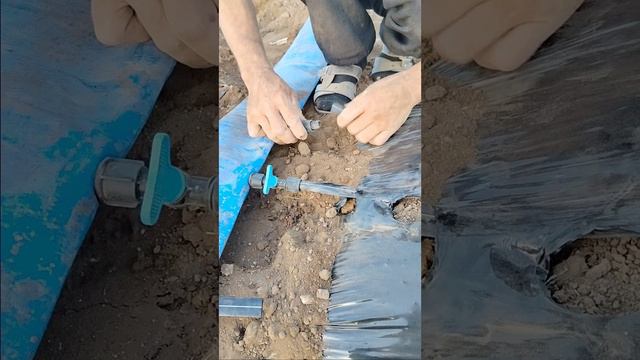 работа в поле смотреть онлайн
