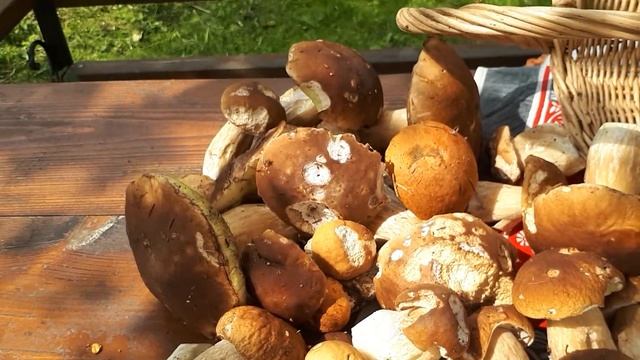 БЕЛЫЕ ГРИБЫ можно есть СЫРЫМИ !!!! . и Грибная лапша . смотреть онлайн