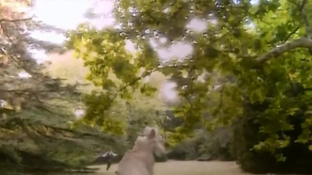 Николай Караченцов - Прощание с Одессой. смотреть онлайн