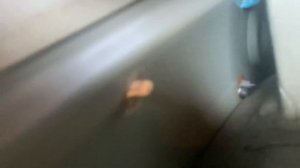 Как гниет Toyota prado