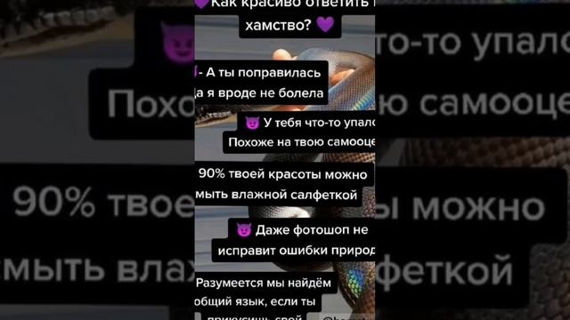 подпишист смотреть онлайн