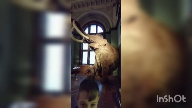 Дети должны посещать музей, потому что... Ответ в видео. смотреть онлайн