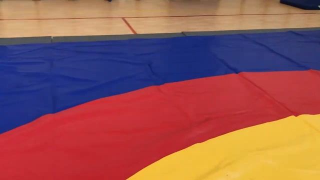 БОРЦОВСКОЕ ПОКРЫТИЕ 12Х12 В КРАСНОДАР. ЦЕНА 64.800р. смотреть онлайн
