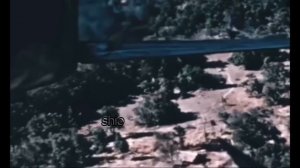 ГСН – а я повыше закатаю рукава(Vietnam edit)