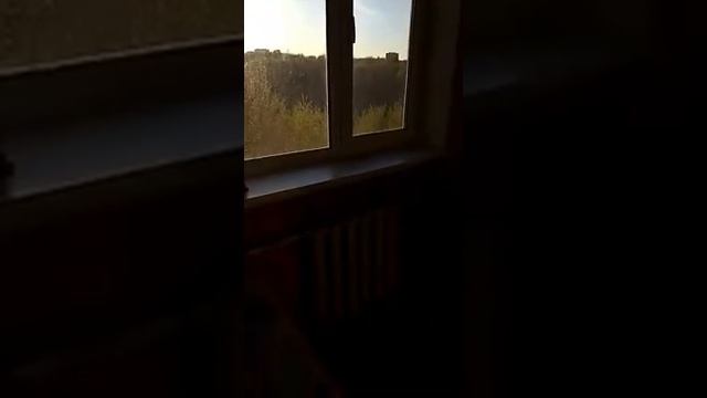 Обзор квартиры: город Липецк, улица Смургиса, дом 6 смотреть онлайн