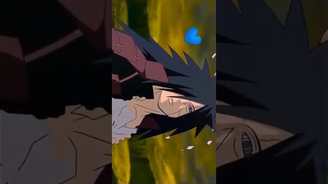 Семейство грызунов ? смотреть онлайн