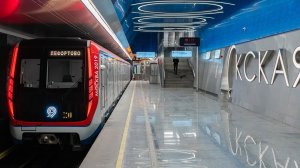 Некрасовская линия метро. Некрасовка - Лефортово.