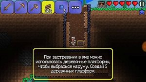 Террариум обучение