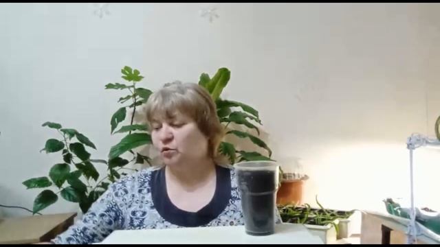 выращиваю артишок для декора и еды смотреть онлайн