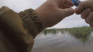 Очень активный клёв плотвы в августе.