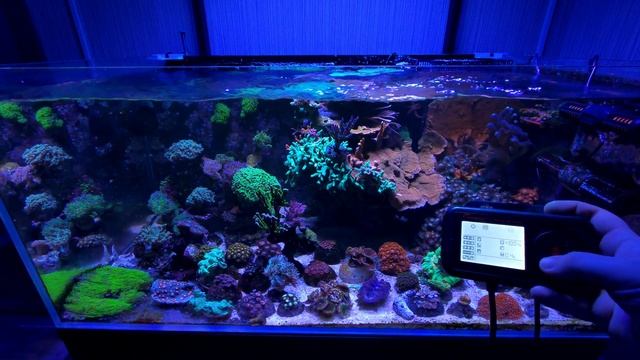 помпа течения maxspect jump gf2k смотреть онлайн