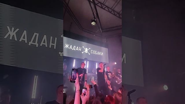 Натаха? Жадан і собаки ?? 19.02.23