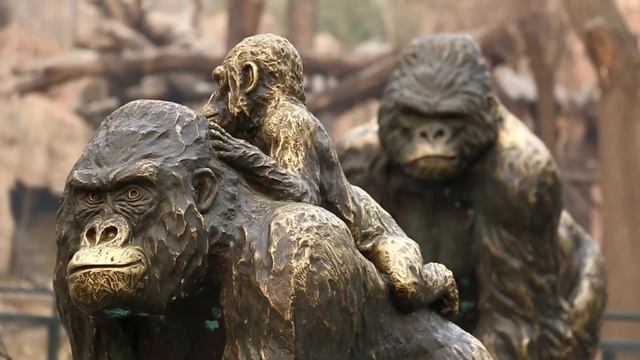 Canon 70D autofocus test (1) with 18-135mm and 18-55mm. 1920x1080 all-i смотреть онлайн