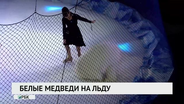 Белые медведи на льду