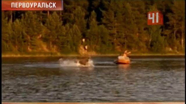 Лось в воде смотреть онлайн
