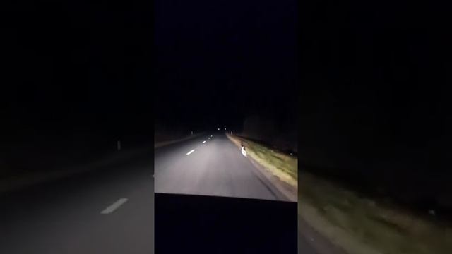 ГАИ ПРОТИВ ЗАЙЦА смотреть онлайн