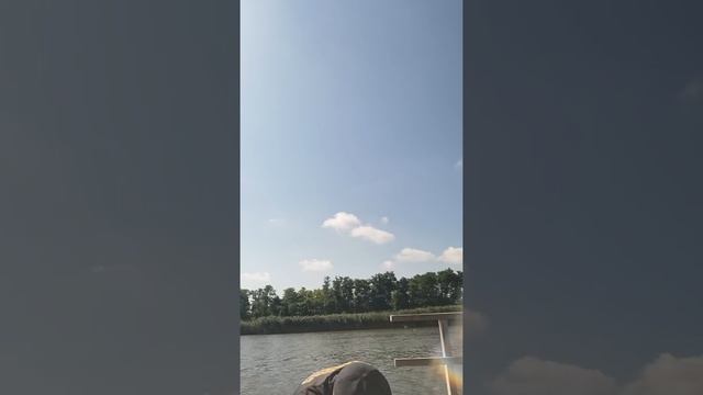 Рыбалка на фидер, ловля карпа, река Челбас смотреть онлайн