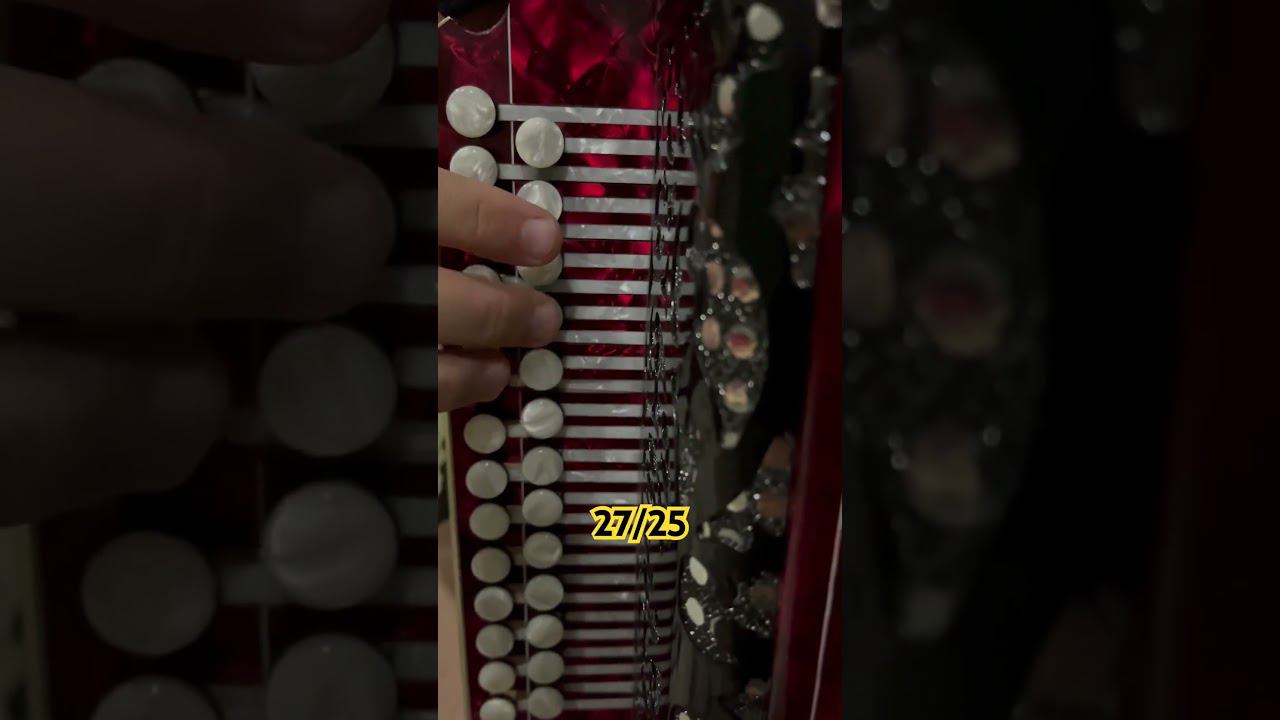 Казаки медленно куплет #казаки #дмитрийразборы #дмитрийгармонист смотреть онлайн