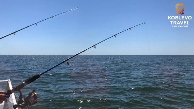 ✔️Коблево Видео: Рыбалка на море. Обзор, отзывы. смотреть онлайн