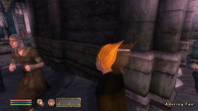 Day 301 - Killing Adoring Fan Every Day Until Elder Scrolls Skyblivion is Released смотреть онлайн