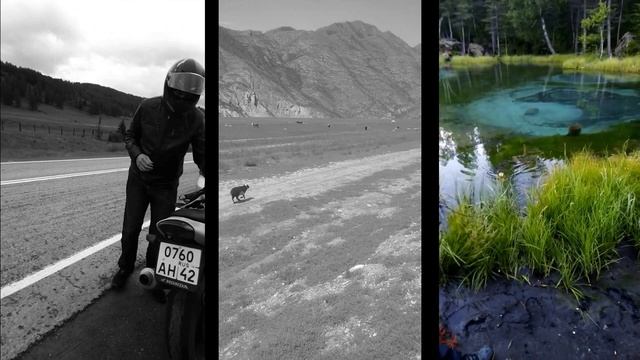 Мотопутешествие через Горный алтай смотреть онлайн