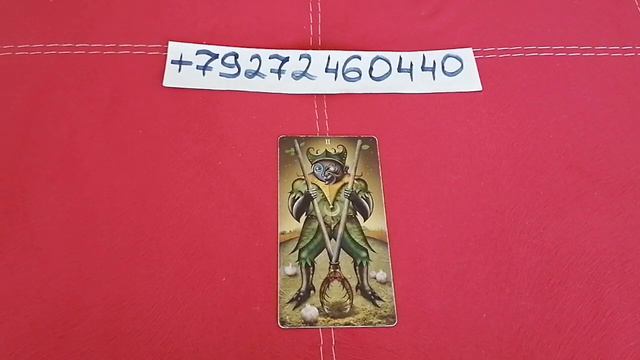 Карта дня на 15 июля 2020 года. смотреть онлайн