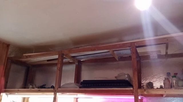 ?Ремонт в рассадной комнате.?