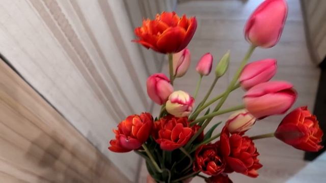 Что мы едим // Ландыши и тюльпаны с дачи смотреть онлайн