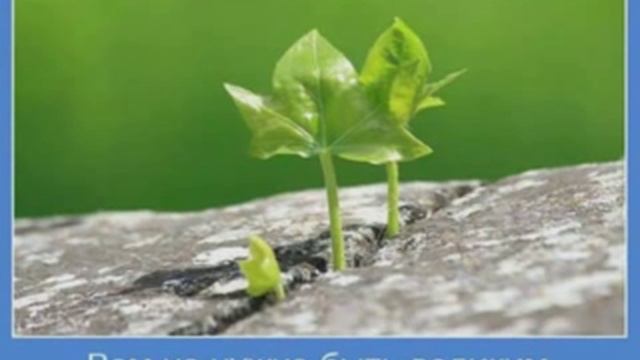 Работа с людьми в Skype. Приглашения и "тройные звонки". смотреть онлайн