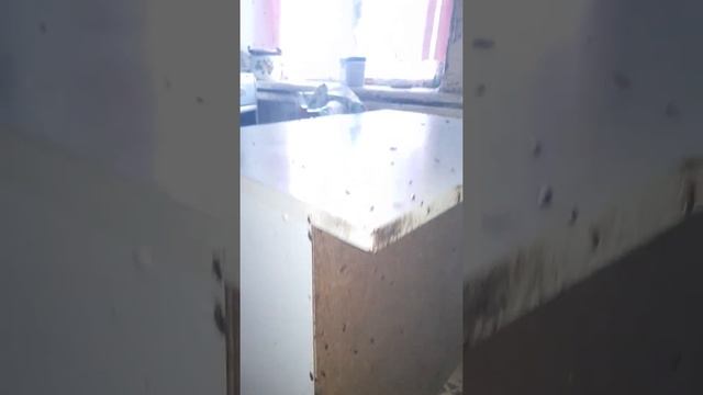 Тараканья жопа! смотреть онлайн