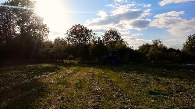 Мтз 80 з граблями. смотреть онлайн