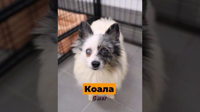 Приглашаем в гости! 2 декабря, Томилино. смотреть онлайн