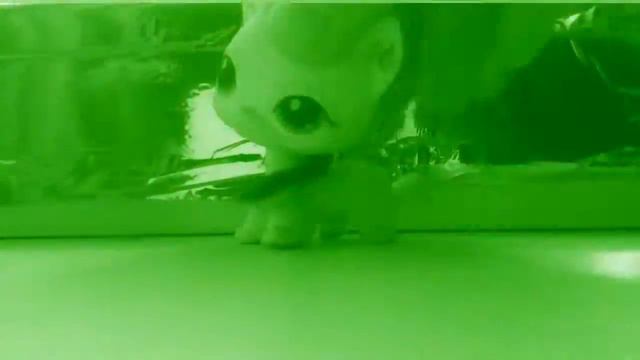 LPS клип #SELFIE