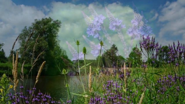 Grand River Wilson’s Flats Bridge, Centre Wellington Canada смотреть онлайн