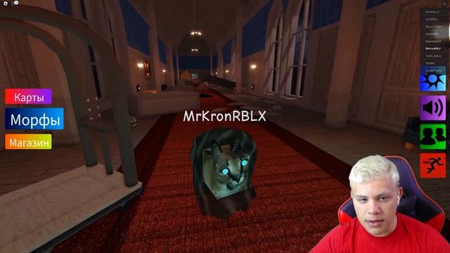 СУМАШЕДШИЕ ДВЕРИ РАДУЖНЫЕ ДРУЗЬЯ ШЛЁПЫ В РОБЛОКС Find The Floppa Morphs from Roblox Doors Кронос смотреть онлайн