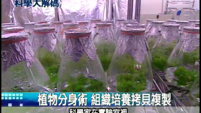 92. 蝴蝶蘭如何讓臺灣稱王？ смотреть онлайн