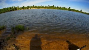 Фидер на Десне в середине мая | Лещ, синец, густира