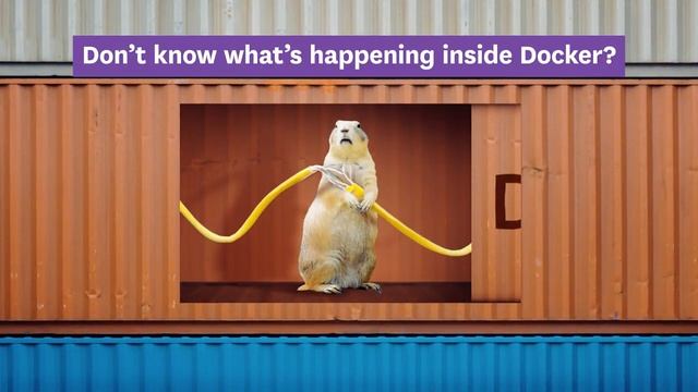 Datadog: Don't know what's happening inside Docker? смотреть онлайн