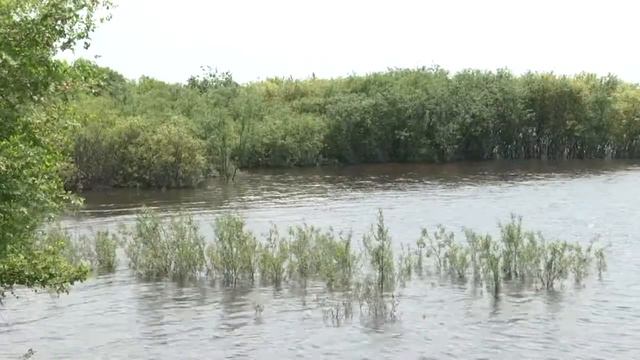 В Благовещенске ввели режим повышенной готовности из-за угрозы подъема уровня рек смотреть онлайн