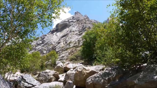 Медитация Прошу у тебя прощения