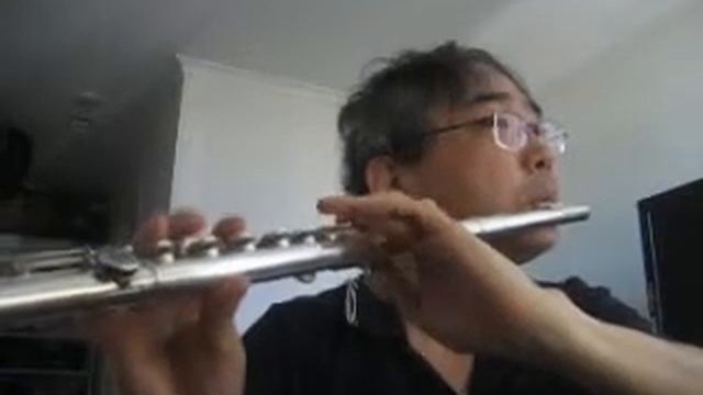 Ludwig van Beethoven - Serenade in D major, Op. 25 for flute, violin, and viola - 3rd movement смотреть онлайн