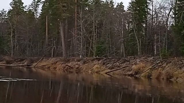 сплав по реке Лух 2-6 ноября 2022 с Мобибой смотреть онлайн