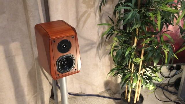 Audio Note Zero Valve System with Opera Callus speakers (Test demontration, ebay items) смотреть онлайн