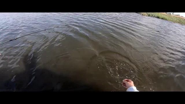 Мормышинг с лодки на пруду. смотреть онлайн