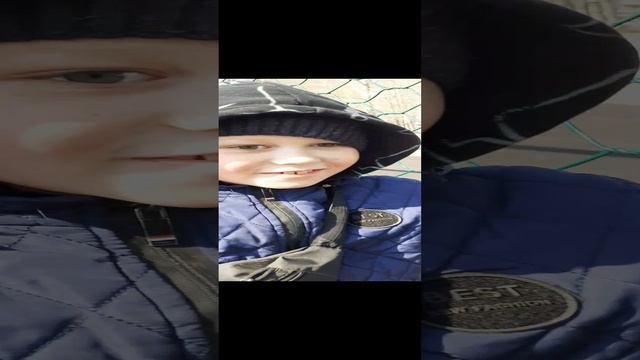 обзор сетки