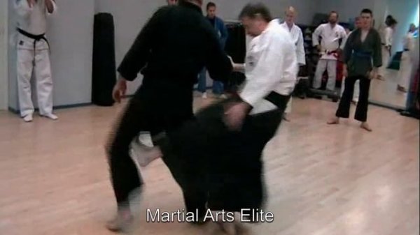 Seminar 2: Sosnin Anatoliy Jujutsu Aikijujutsu St Petersburg 2010 (Соснин Анатолий Валерьевич)